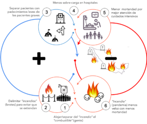 ciclo 4